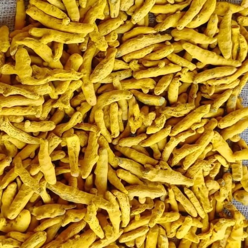 Turmeric Finger